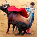 El compromiso y la verdad del toreo asomaron por Badajoz por Antonio Corbacho