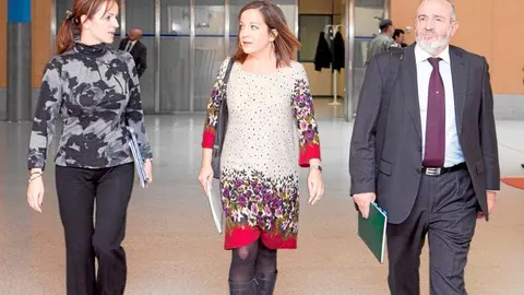 La consejera Silvia Clemente y los eurodiputados Agustín Díaz de Mera e Iratxe García