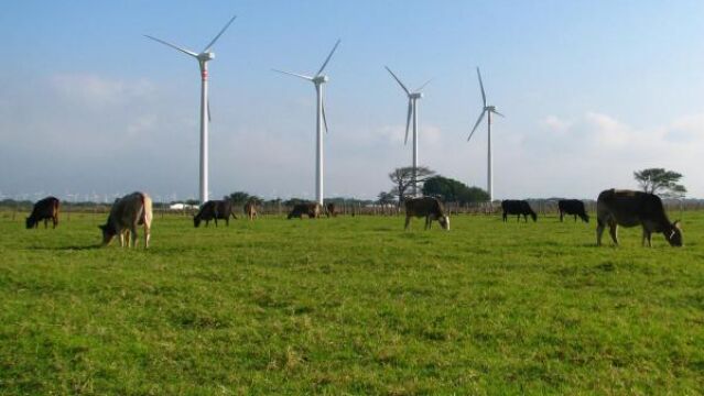 Acciona Energía construye en Oaxaca (México) un parque eólico de 250,5 MW