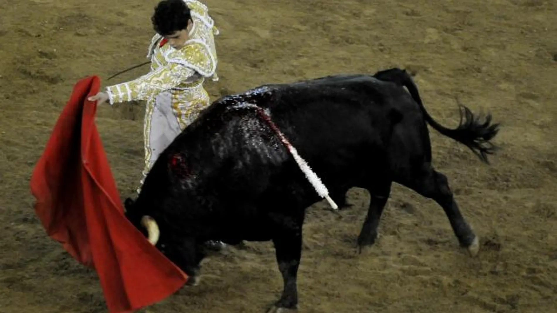 Miguel Abellán cortó una oreja en Cali
