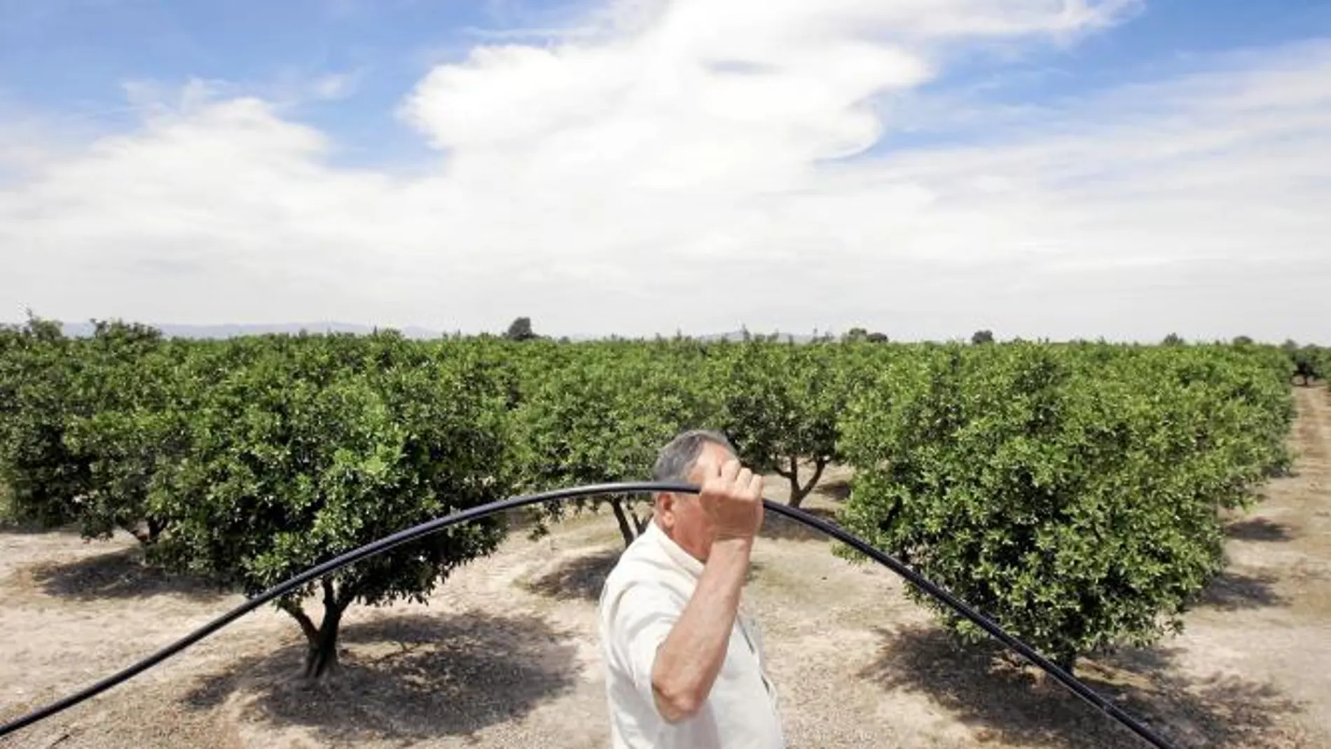 La sequía amenaza ante un plan de regadíos estancado por la crisis