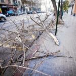 Dos personas heridas al caerles un árbol encima y 90 aisladas por el frío