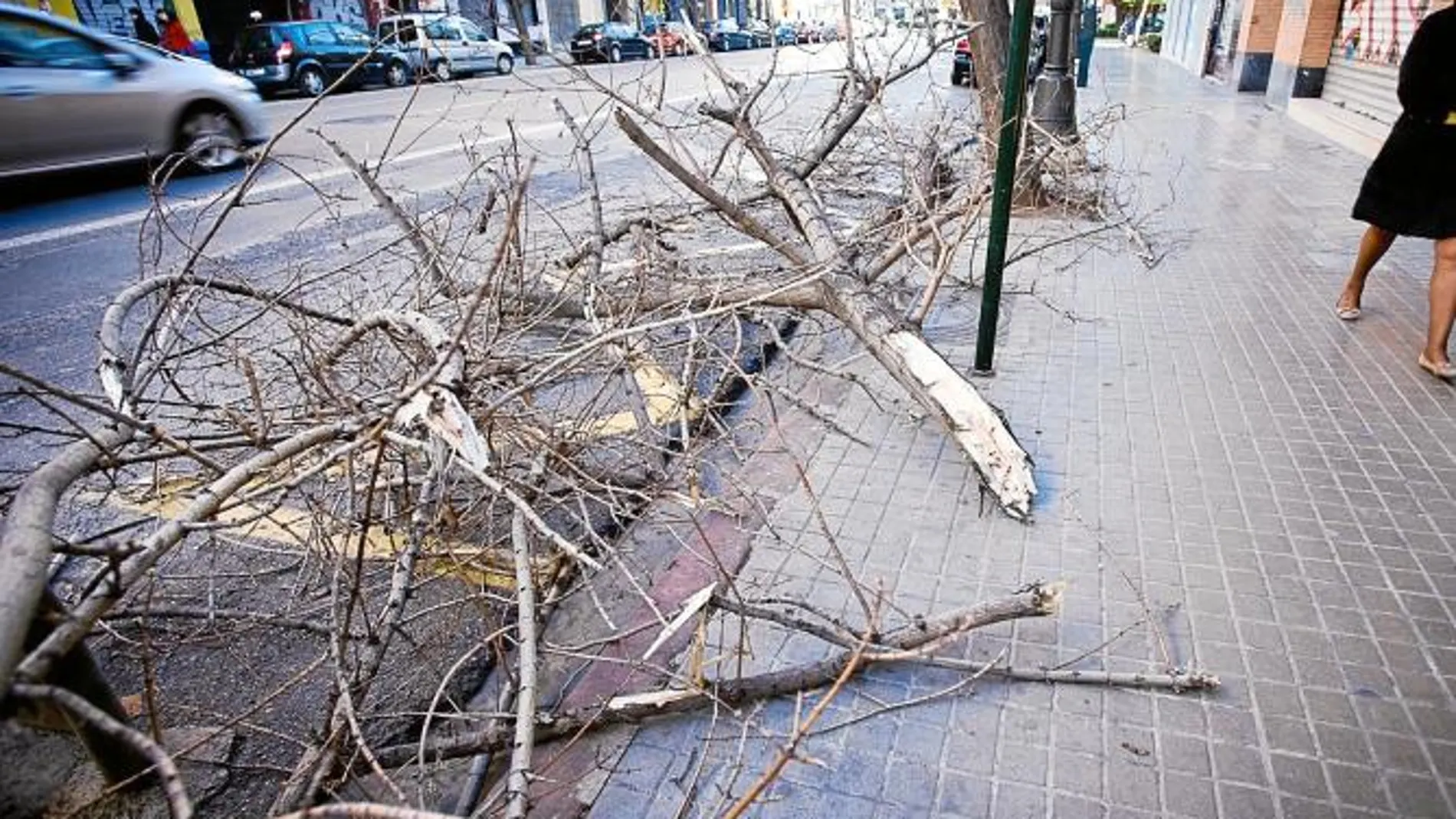 Dos personas heridas al caerles un árbol encima y 90 aisladas por el frío
