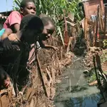  La OMS contabiliza más de 1800 muertos en la epidemia de cólera en Zimbabue