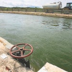 Una comunidad de regantes del río Ebro