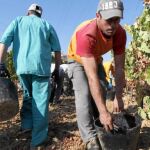 La falta de crédito frena el relevo generacional en los campos