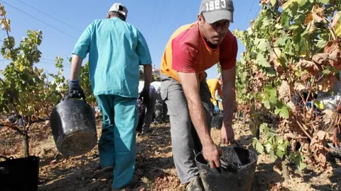 La falta de crédito frena el relevo generacional en los campos