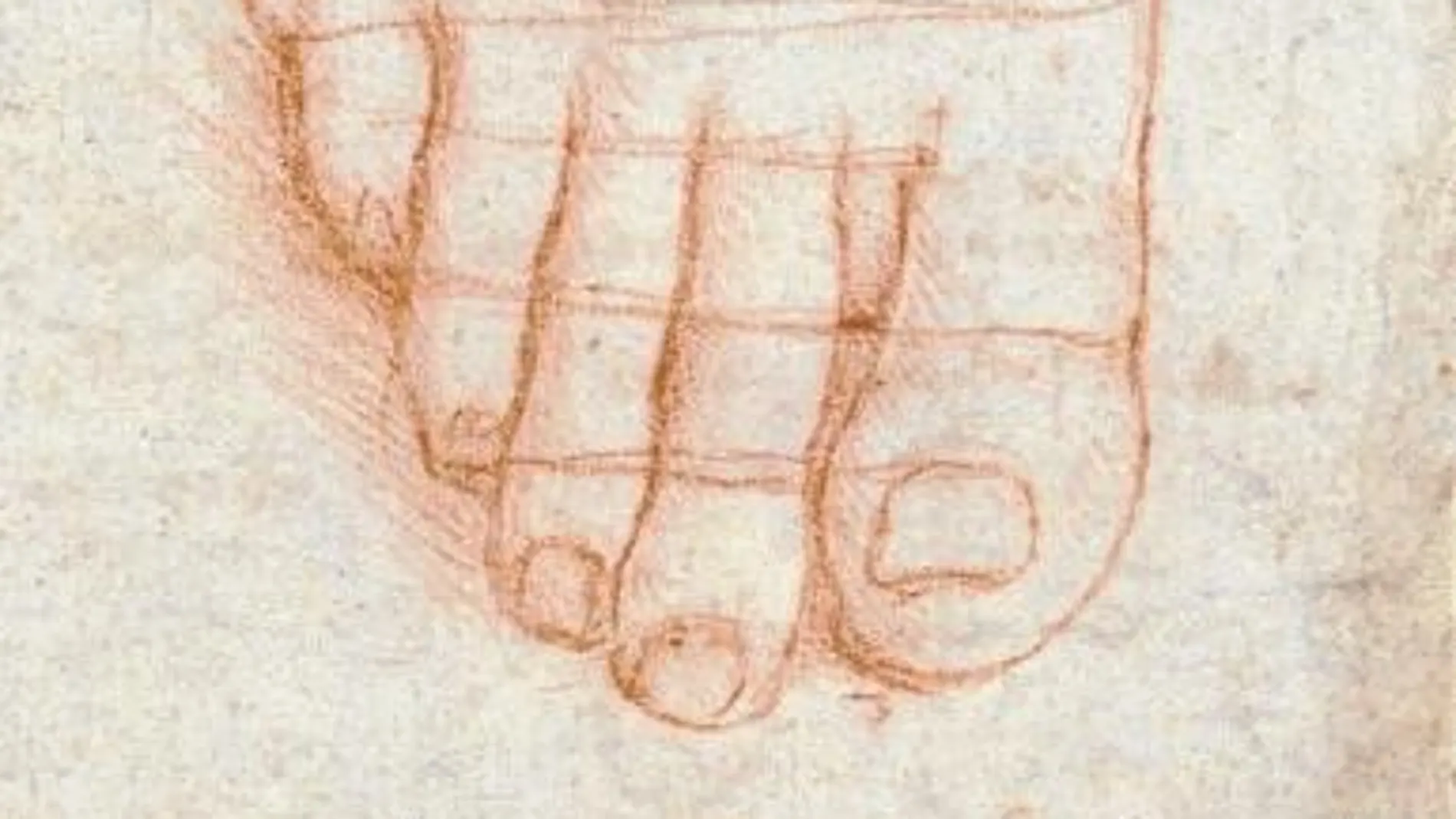 «Estudio de un pie», en la muestra