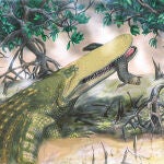 El abuelo del cocodrilo
