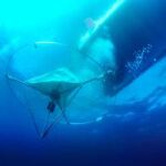 El primer laboratorio submarino en España permitirá estudiar la contaminación