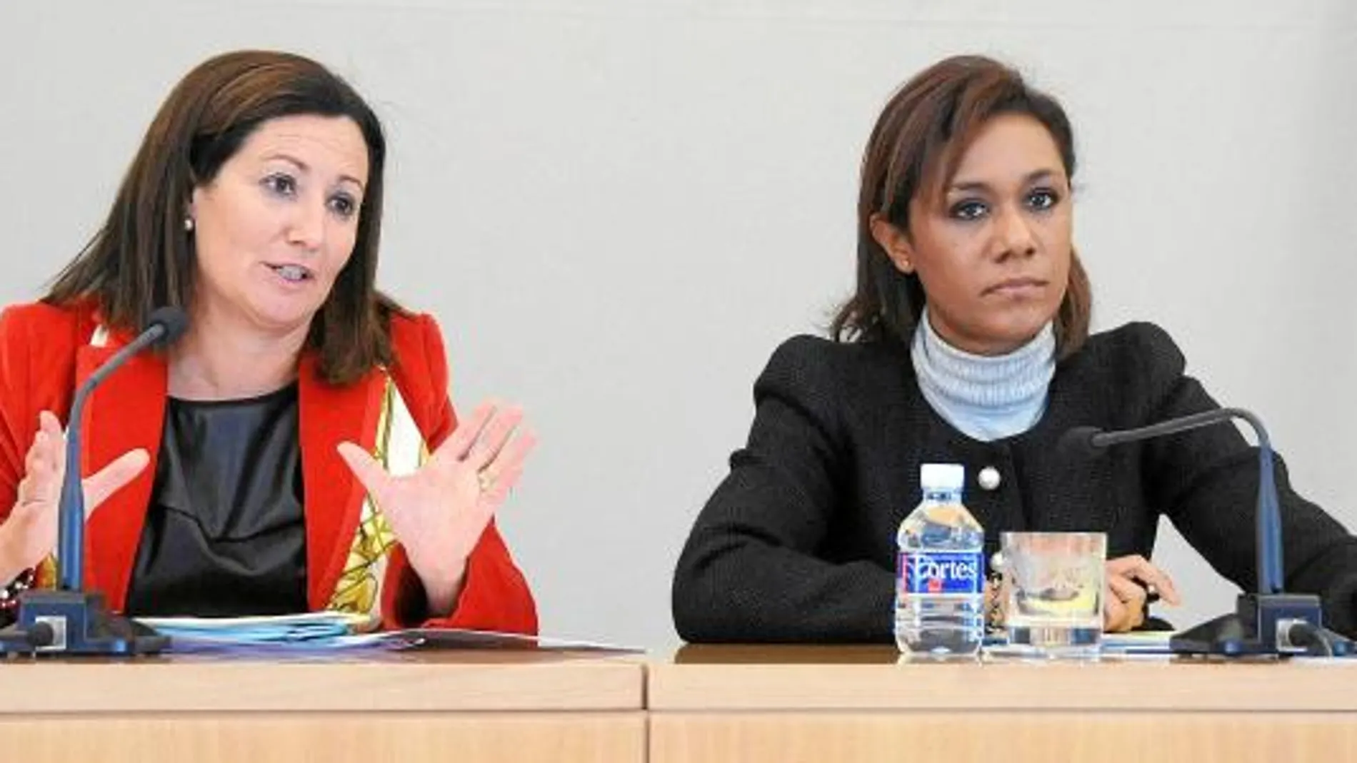 La consellera de Agricultura, Maritina Hernández y la portavoz del Gobierno, Lola Johnson