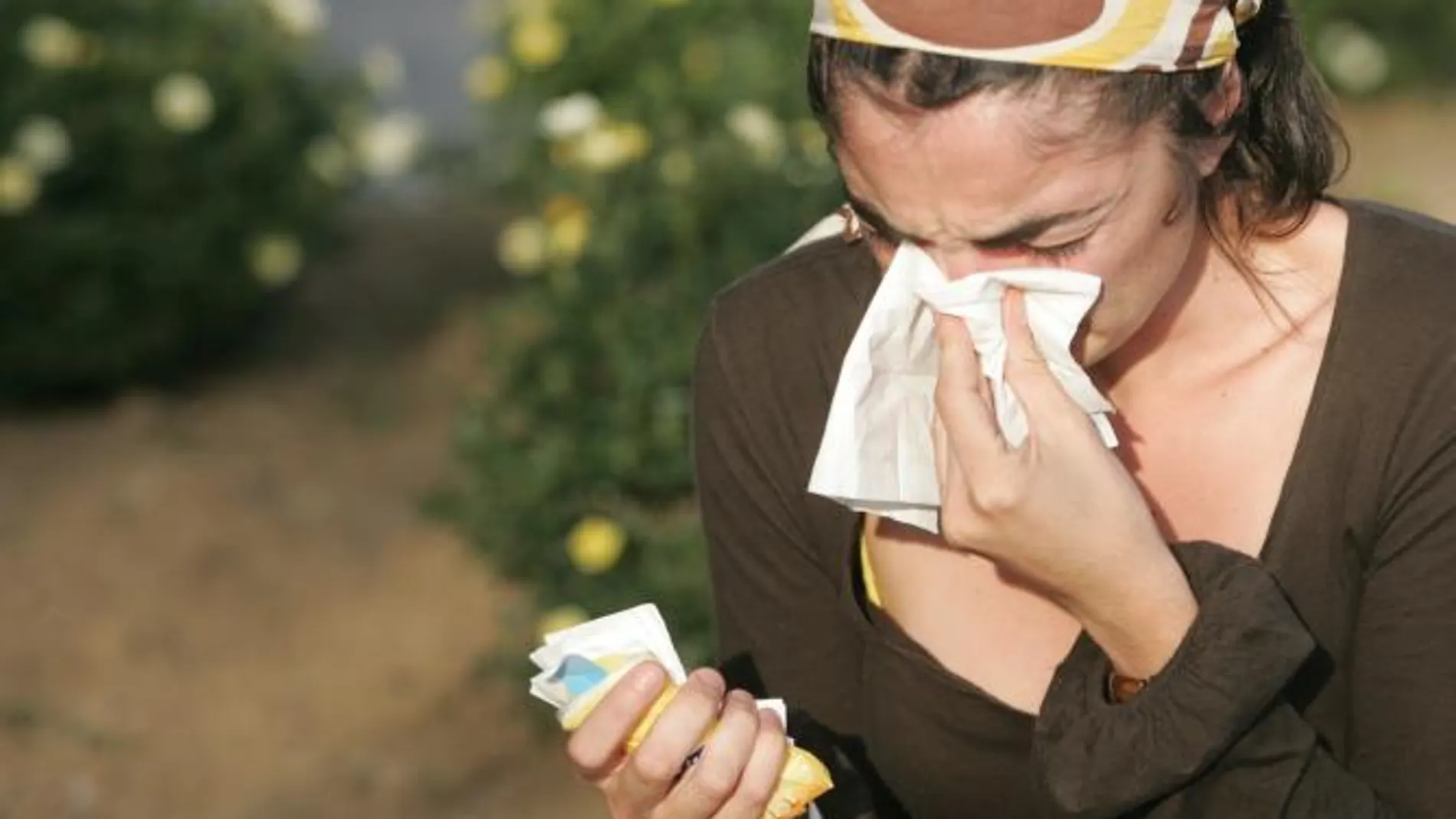 Cuando alguien sufre de fiebre del heno, su sistema inmunológico reacciona de forma exagerada al polen
