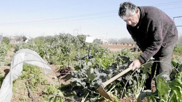 Remite la ola de frío con menos daños de los esperados en la agricultura