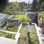 Los jardines elevados esconden los escombros