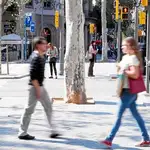  El Ayuntamiento invertirá 5 millones para regenerar el paseo de Gràcia