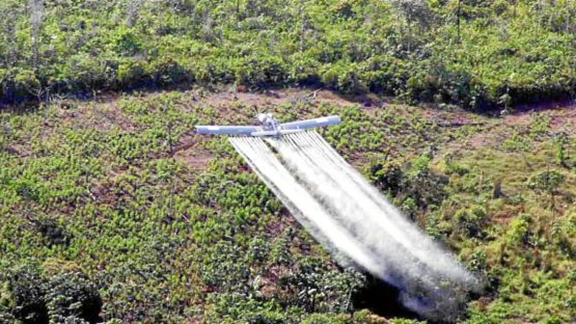 En la UE se ha reducido en un 75 por ciento la cantidad de pesticidas que se pueden utilizar, debido a las exigencias europeas