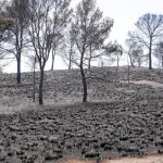 El incendio de Hellín provoca un desastre natural en la Región