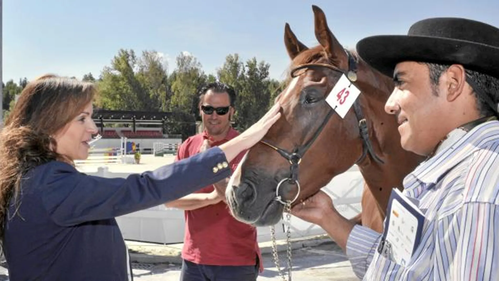 La consejera Silvia Clemente acaricia a uno de los caballos participantes en el Campeonato de España