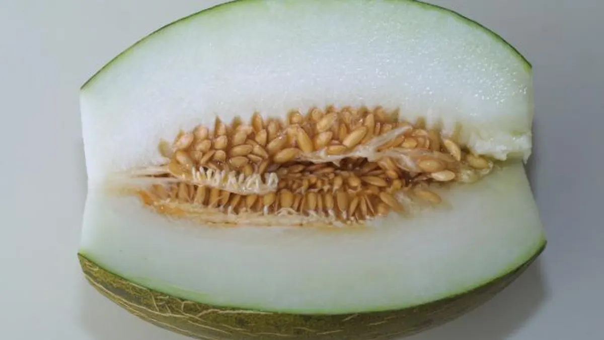 Alerta alimentaria en España por unos melones procedentes de Marruecos