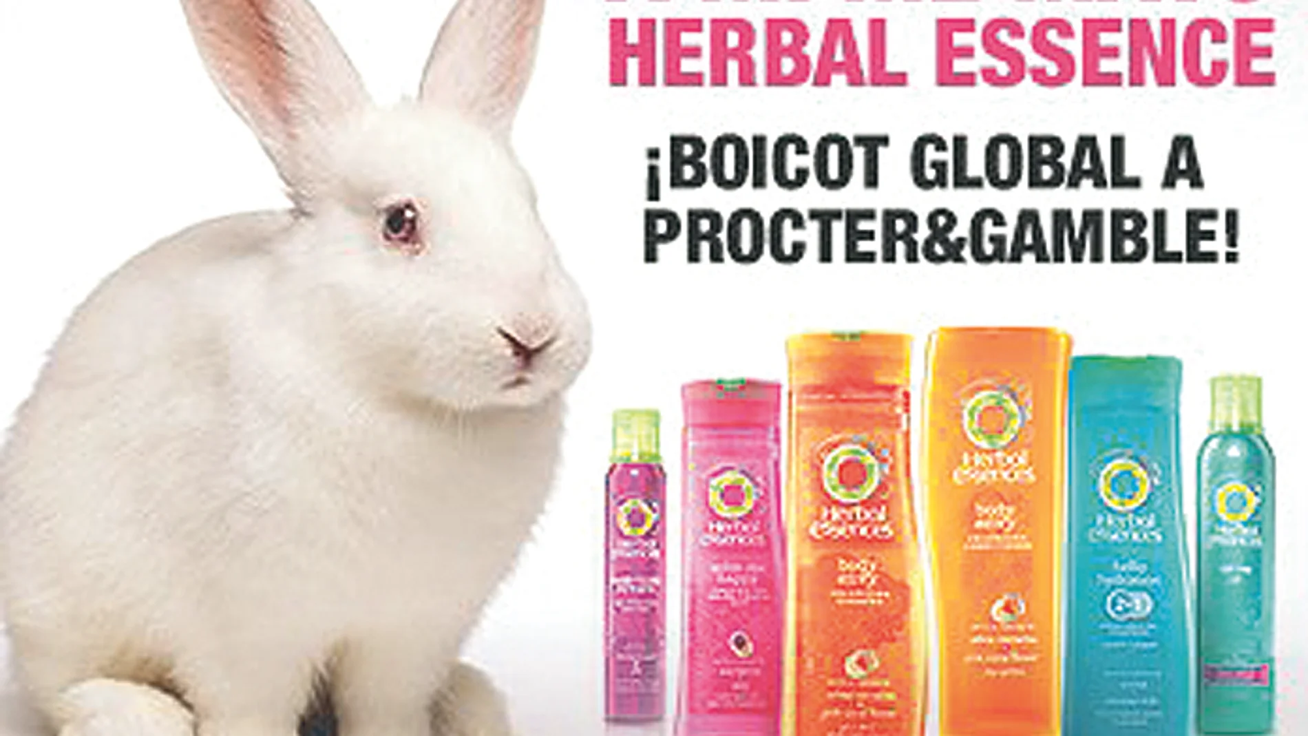 Historial de denuncias a P&G
