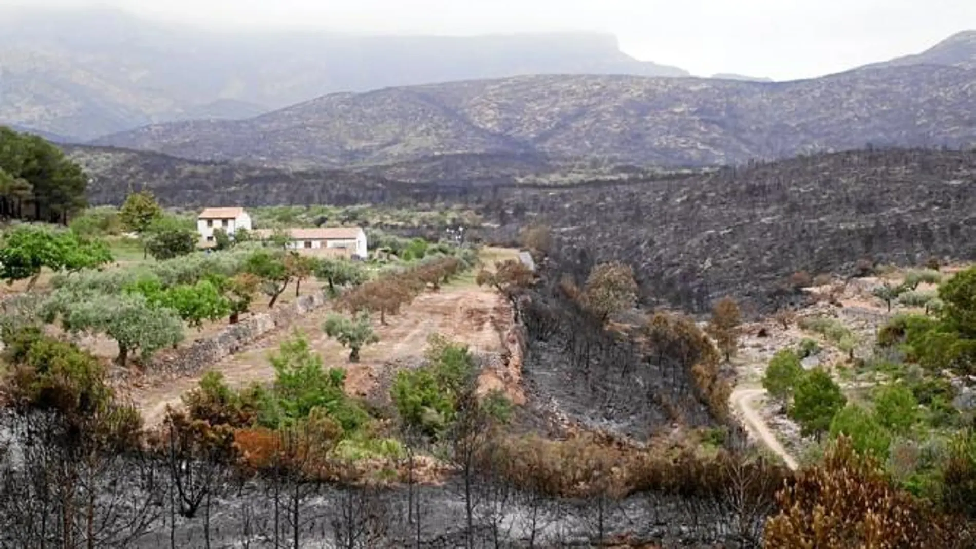 El alcalde de Rasquera define los daños por el fuego de «incalculables»