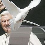 El Papa en su ventana: «Y ahora os dejo con Miriam una niña eritrea»