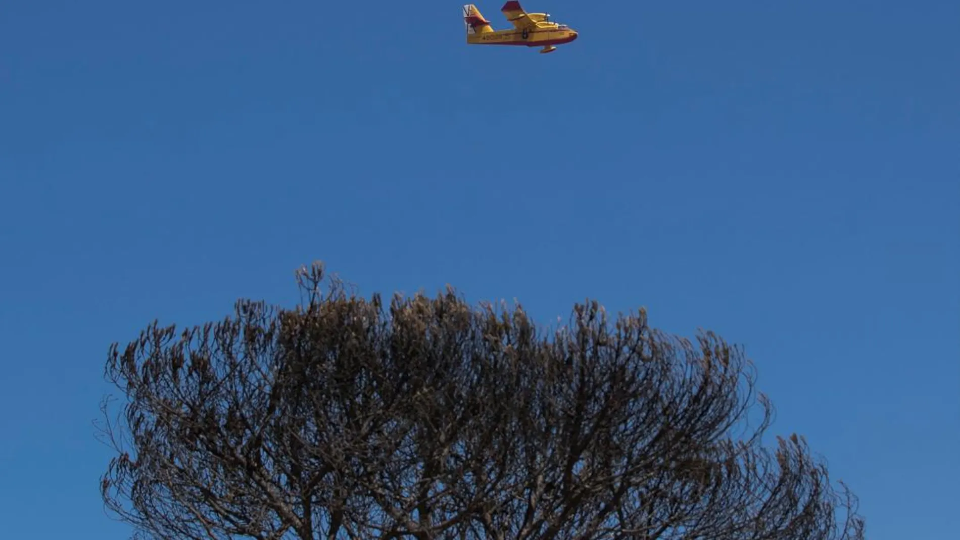 En el denominado «caso Infoca» se investigan presuntas irregularidades en la contratación de aeronaves para luchar contra el fuego (Foto: Efe)