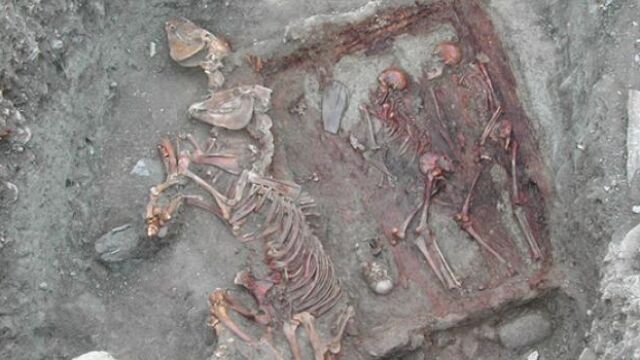 Primeras evidencias de la mezcla genética entre europeos y asiáticos