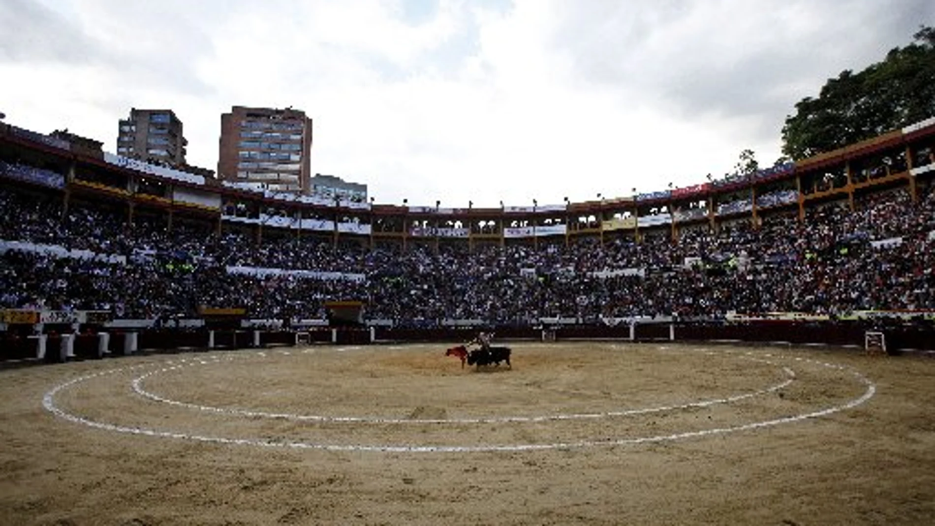 Vargas Llosa lidera la defensa de los toros en Bogotá
