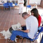 Los animales aportan seguridad a los pacientes y ayudan a mejorar sus condiciones a través de la interacción y el juego
