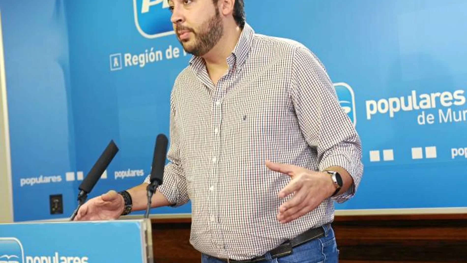 El diputado del Grupo Parlamentario Popular, Víctor Manuel Martínez, durante su comparecencia en la sede