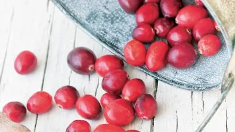 Arándanos rojos contra las infecciones urinarias