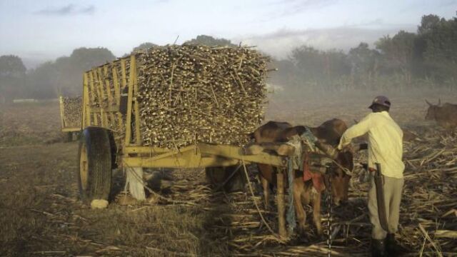 Un misionero español denuncia a las familias ricas que practican la semiesclavitud en la industria azucarera