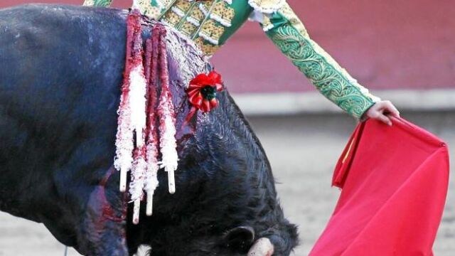 Alejandro Talavante, con la muleta en la plaza de toros de Acho