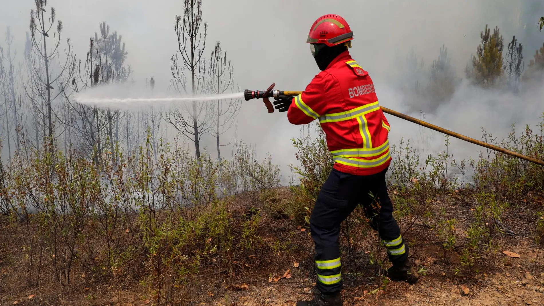 Controlado un incendio en Godella que amenazó la zona de chalets