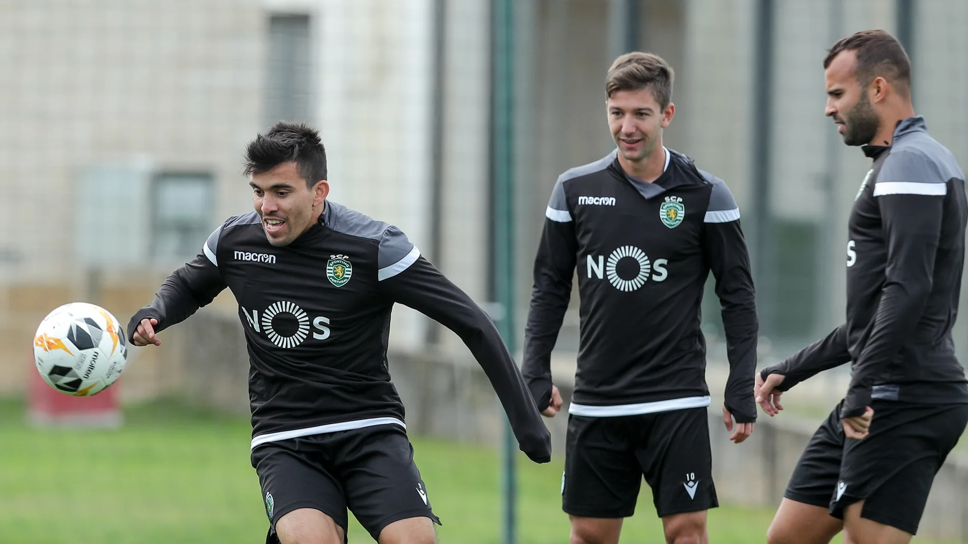 Sporting training