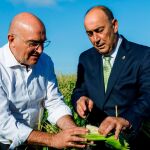 Carnero visita los cultivos del Carracillo junto al presidente de la Diputación de Segovia, Miguel Ángel de Vicente