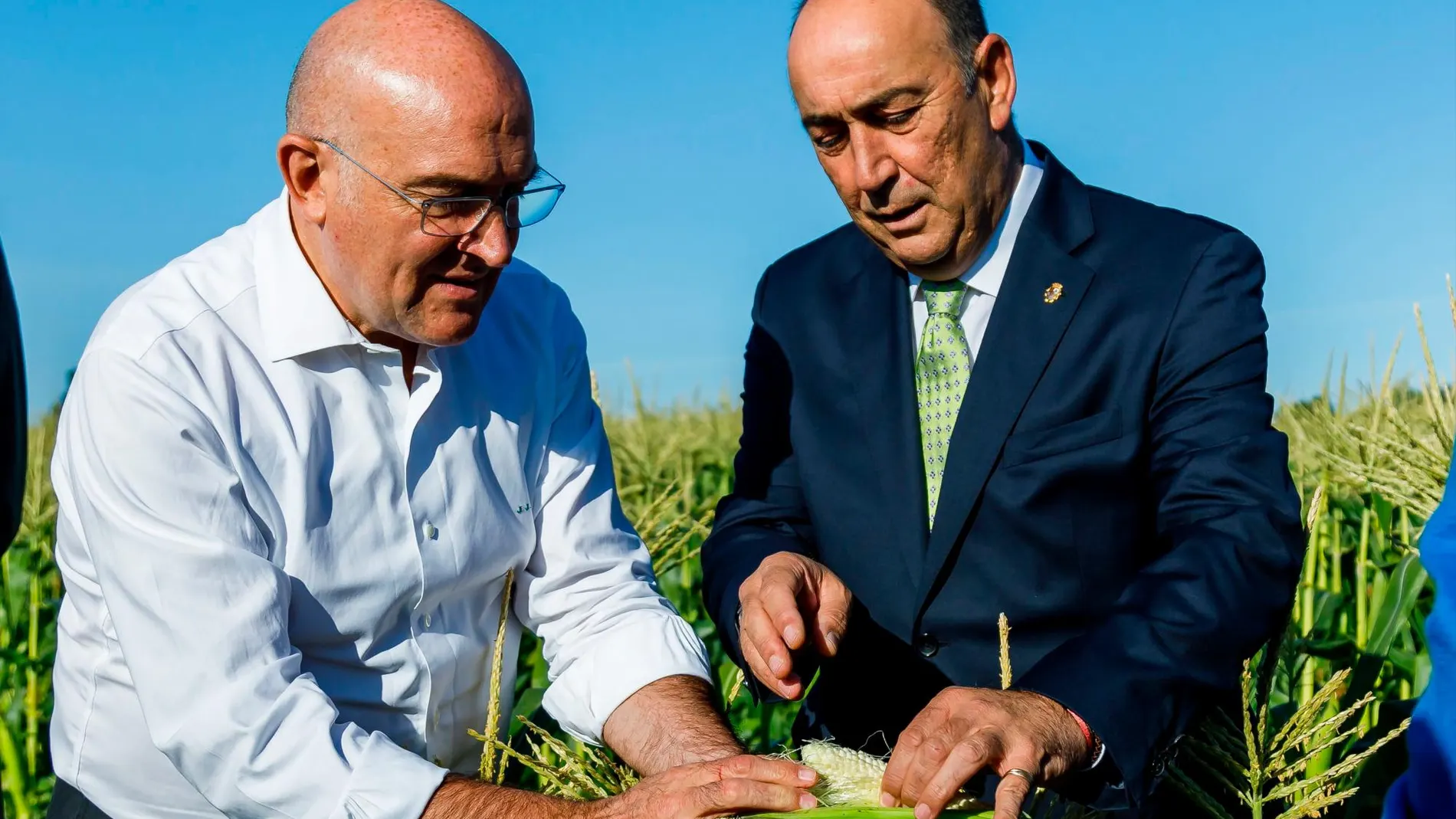 Carnero visita los cultivos del Carracillo junto al presidente de la Diputación de Segovia, Miguel Ángel de Vicente