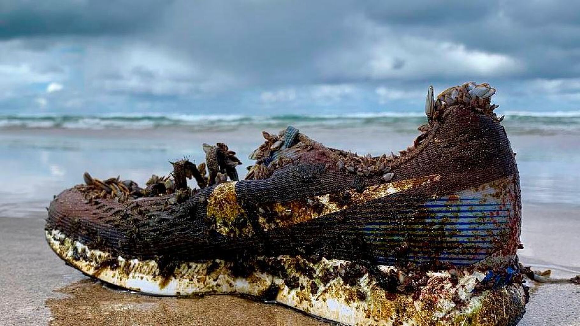 Por qu est n apareciendo zapatillas Nike en playas de diferentes