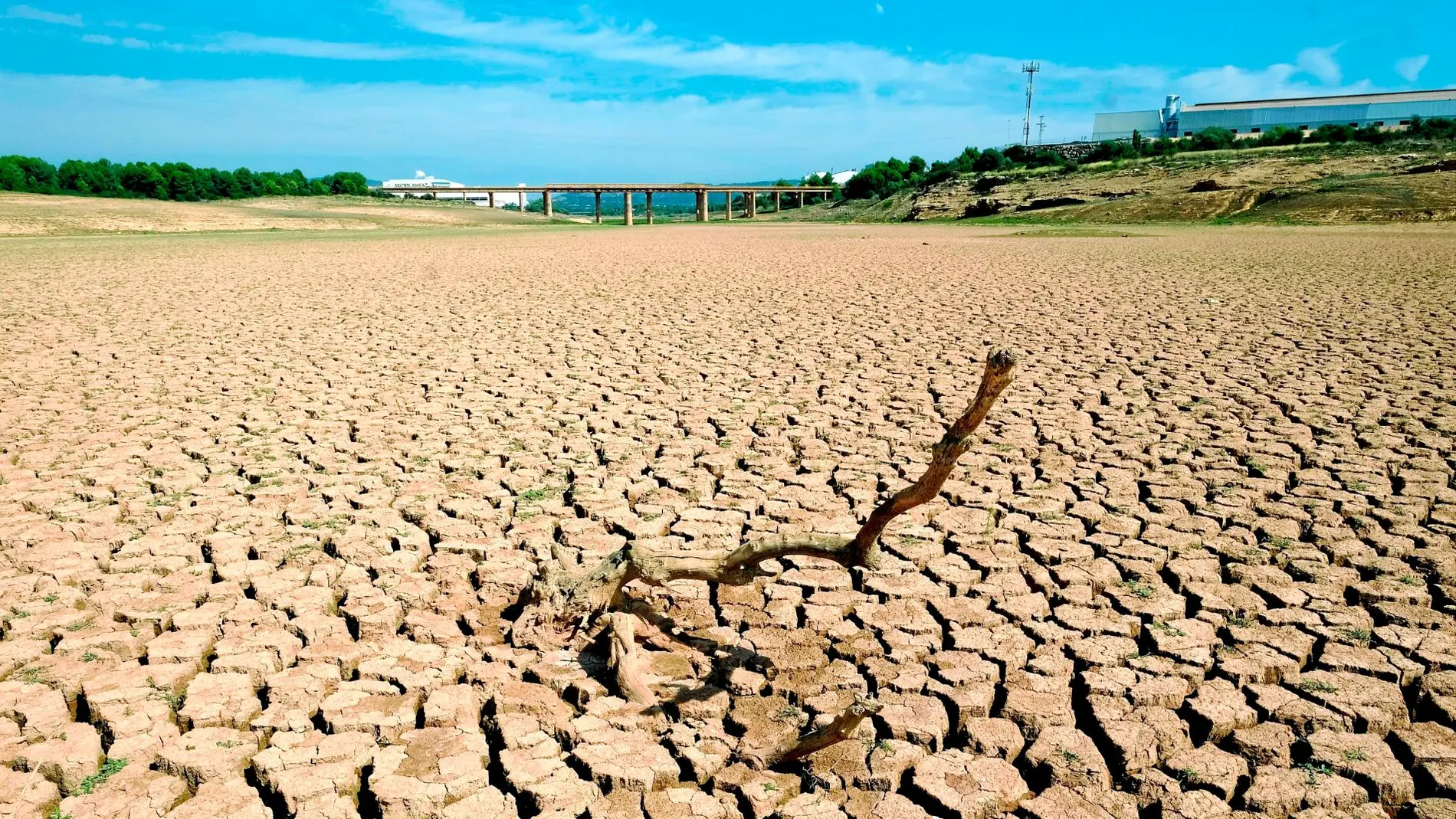 La sequía golpea con fuerza a Andalucía