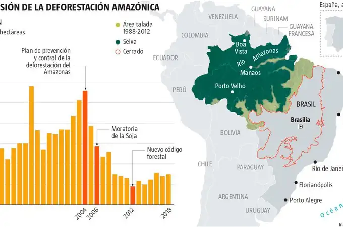 Amazonas, el pulmón del mundo peligra