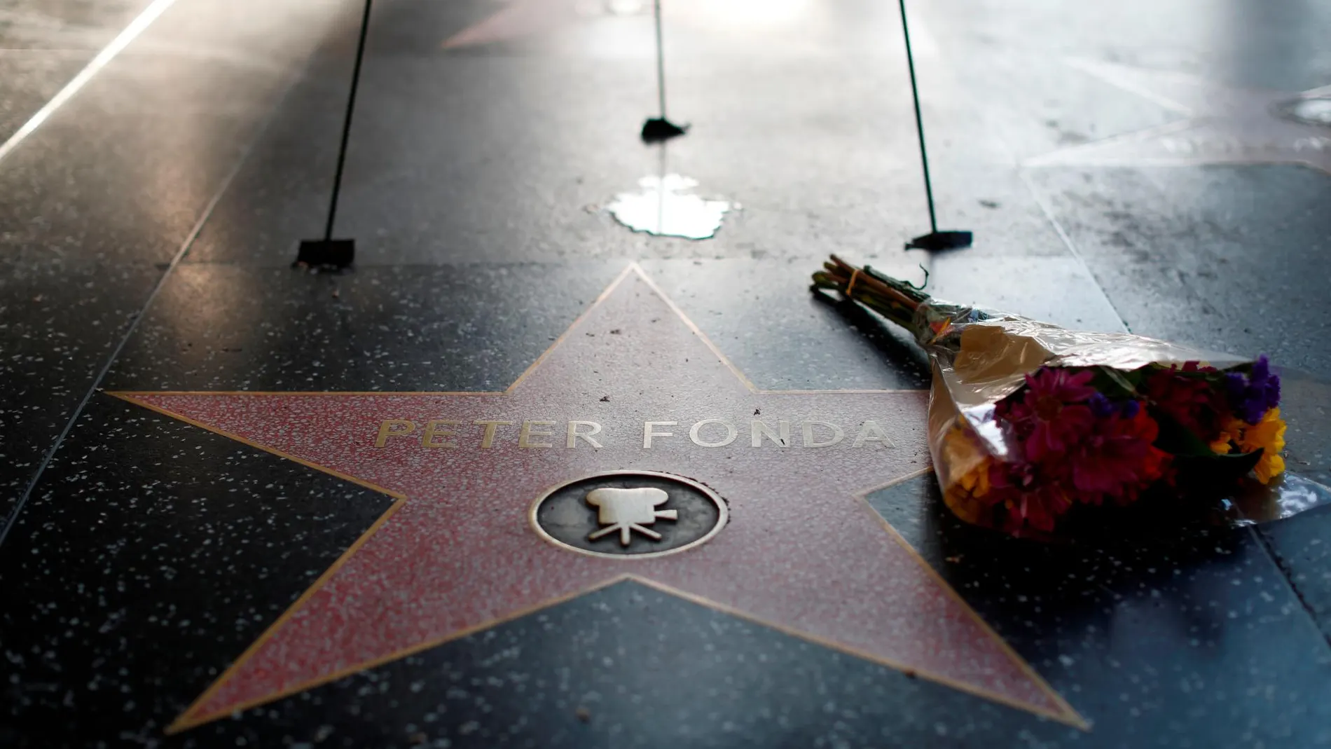 La estrella de Peter Fonda en Hollywood
