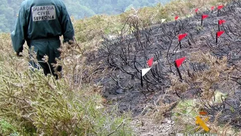 Imagen de un agente de la Guardia Civil del Seprona investigando un incendio