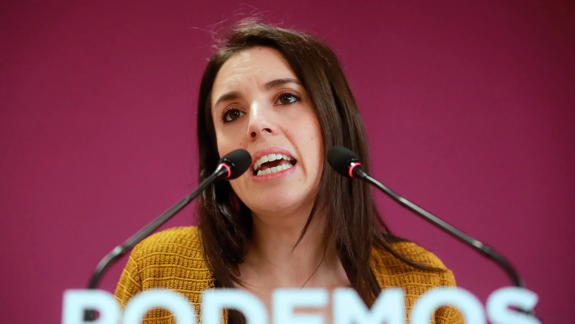 La número dos de Podemos, Irene Montero / Efe: Ángel Díaz