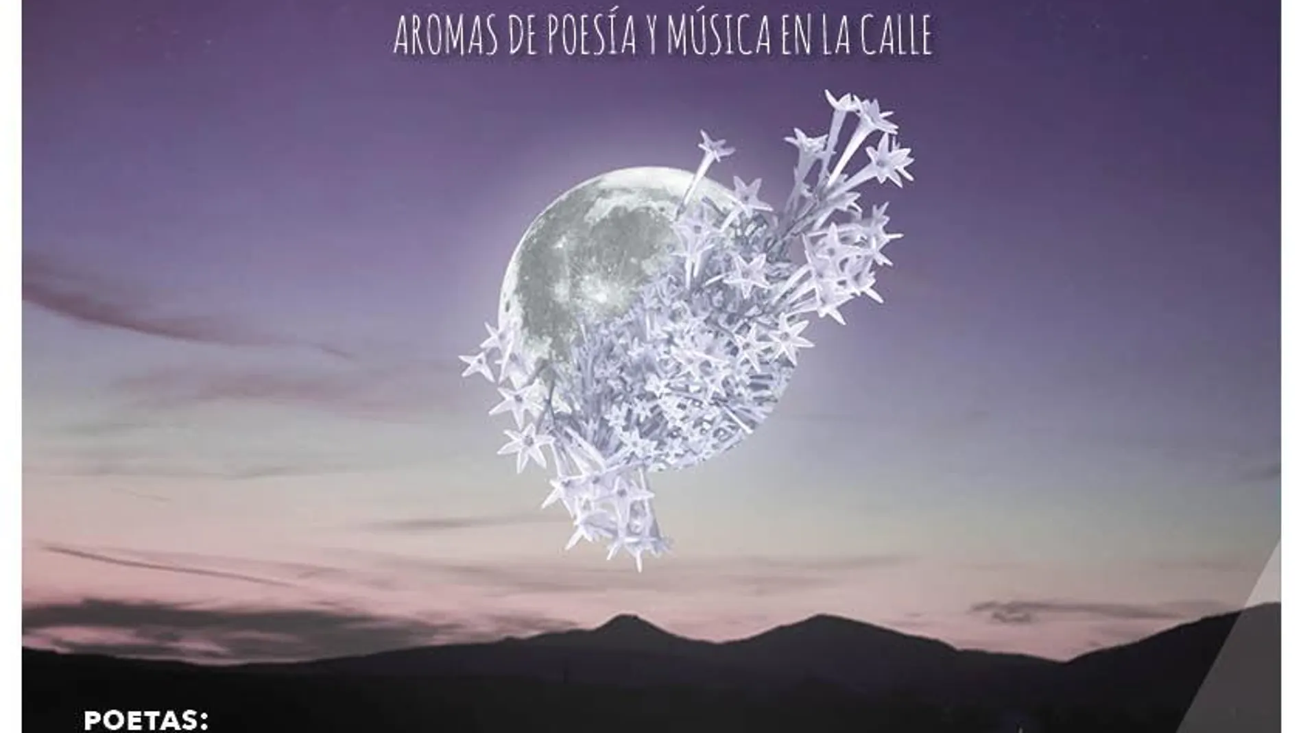 Cartel oficial del ciclo poético musical Damas de Noche / La Razón