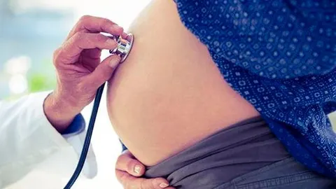 Hasta hace poco, se pensaba que el útero era una cavidad estéril donde las bacterias no habían llegado