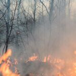 El fuego quemó más de 2.000 hectáreas de monte público y suelo privado