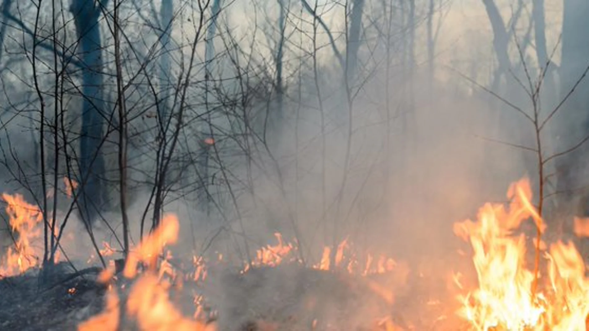 El fuego quemó más de 2.000 hectáreas de monte público y suelo privado