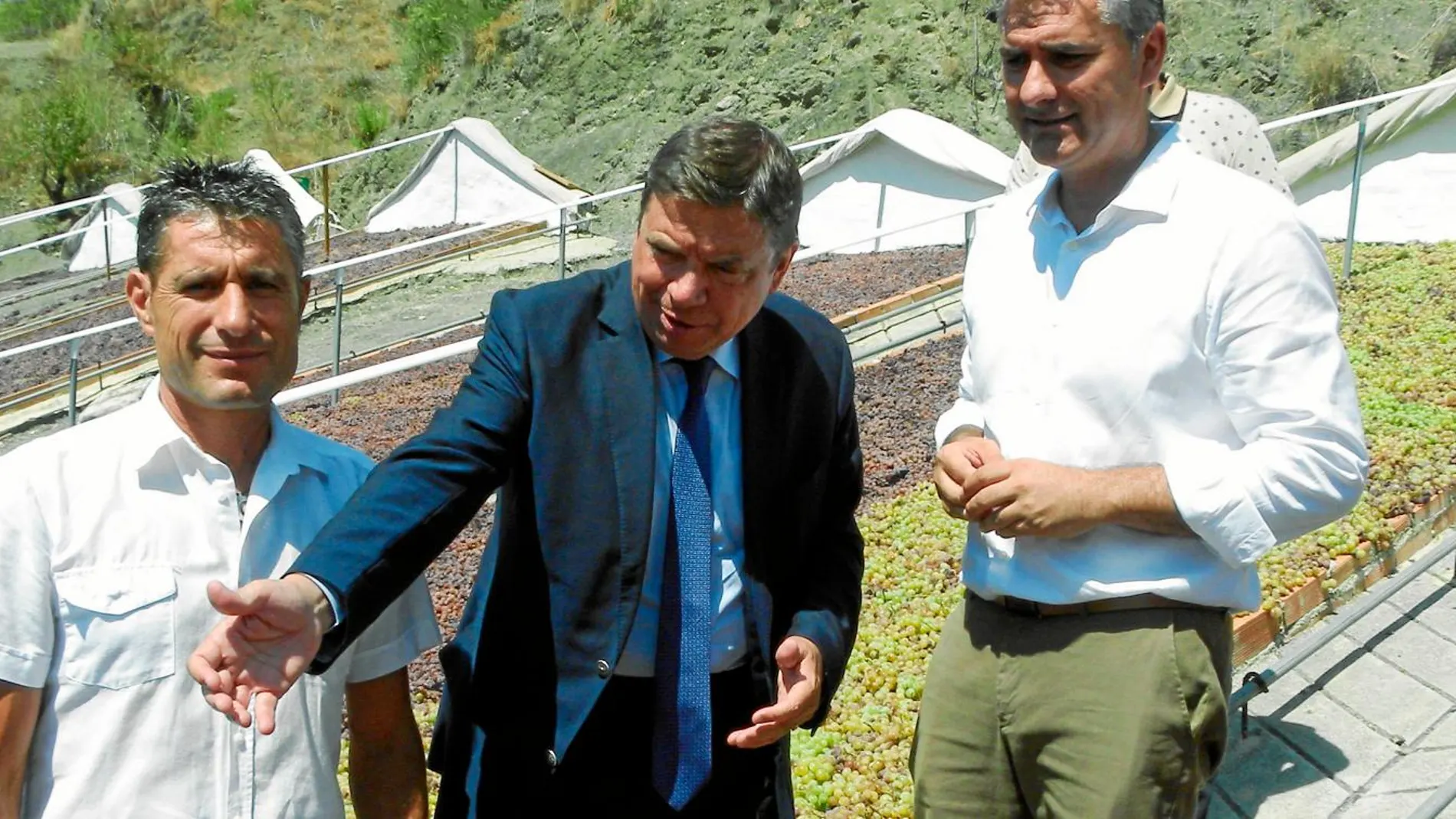 El ministro de Agricultura, Luis Planas (centro), visitando hace unos días la Axarquía malagueña, donde señaló al sector de la uva pasa como ejemplo del futuro de la PAC