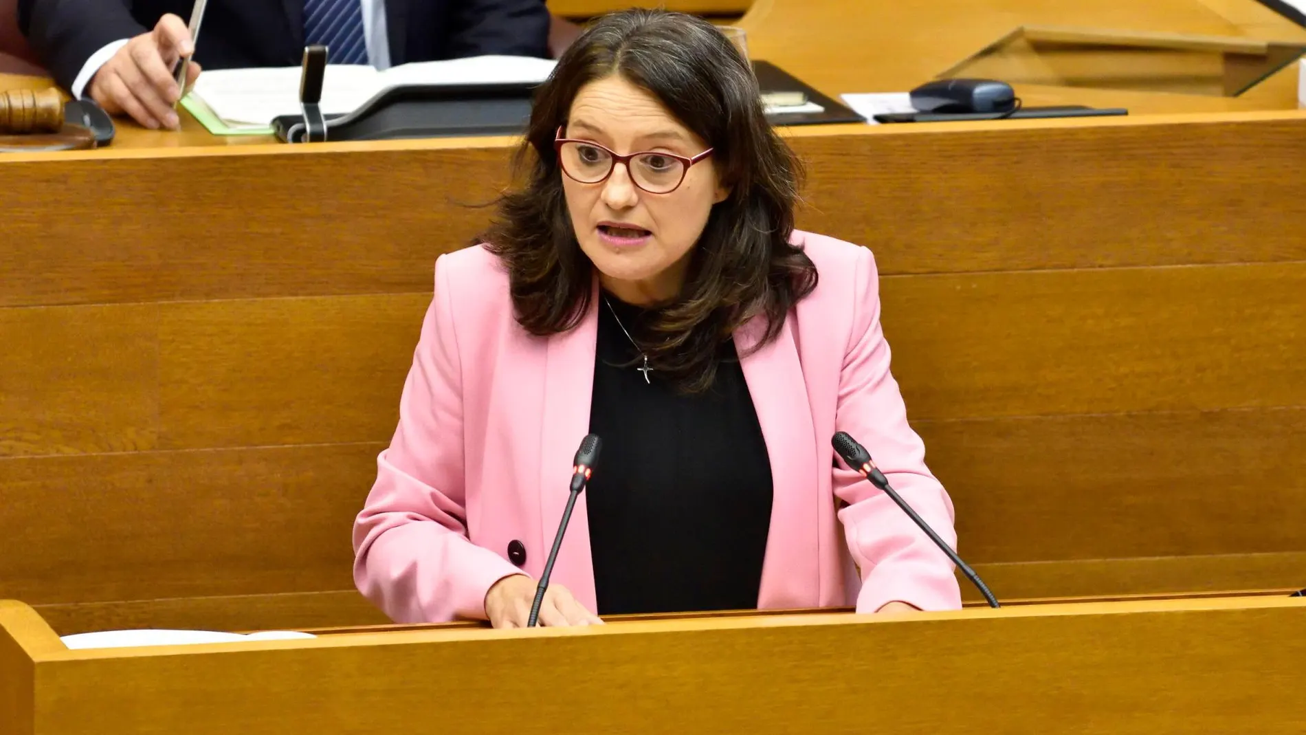 Oltra, como vicepresidenta primera, abrió la ronda de comparecencias parlamentarias para explicar las líneas generales de las conselleries